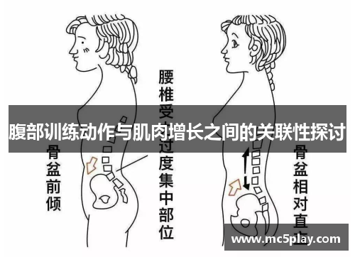 腹部训练动作与肌肉增长之间的关联性探讨